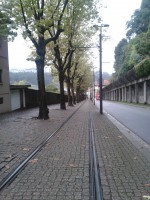 /album/galeria/a20131102-114352-1-jpg/